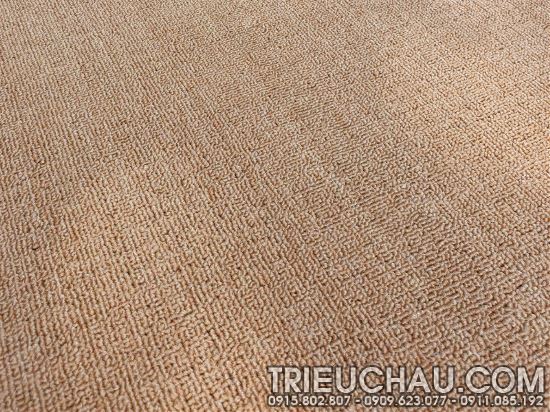 Thảm trải sàn Roll Carpet - 5