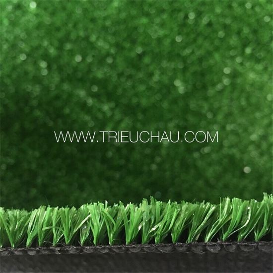 Thảm cỏ nhân tạo 8mm cỏ đậm